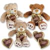 Бурые, плюшевые медвежата с шоколадным сердечком 5826