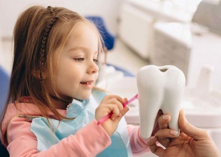 Детская стоматология «Стомозаврик» – здоровые зубы и улыбка